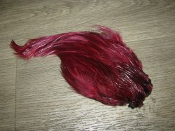 Скальп петуха indian Cape Claret