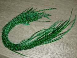 Перо из седла петуха отборное ( 1 шт ) Гризли  зеленое / Grizzly Green 28 - 33 см