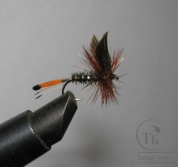 Муха сухая Dry fly  Quill DFQ 23  "Royal Coachman Dark Var. "крючок № 14 ( Kumho )