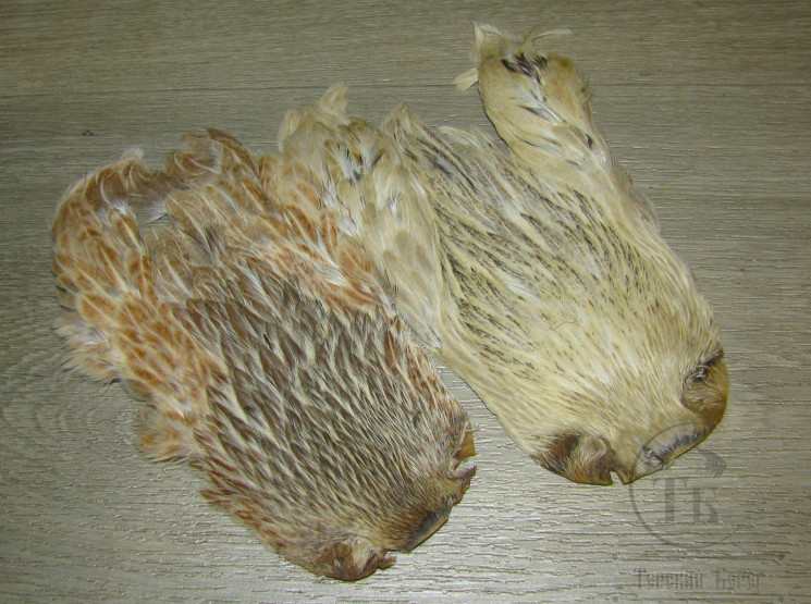Скальп курицы Indian Hen Cape Grey Ginger Var. / Серо Имбирный Вариант