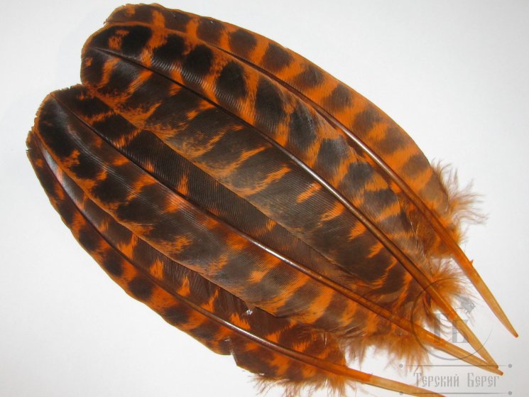 Маховые перья индюка оранжевые рябые / Turkey Wing Quills Orange barred (1 пара) Терский берег