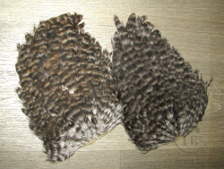 Курица седло Indian Hen Saddle Grizzly / Гризли