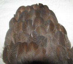 Перья глухаря боковые предкрылочные Capercailli side feathers (коричневые рябые 30-40 шт)