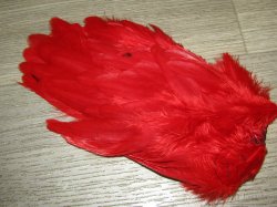 Перо курицы красное 1/2  Soft Hackle Red