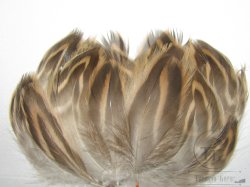 Перья самки кряквы предхвостовые Mallard  Breast Natural 