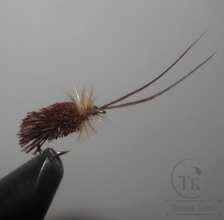 Mуха (36) Goddard Caddis  Brown Kumho № 12