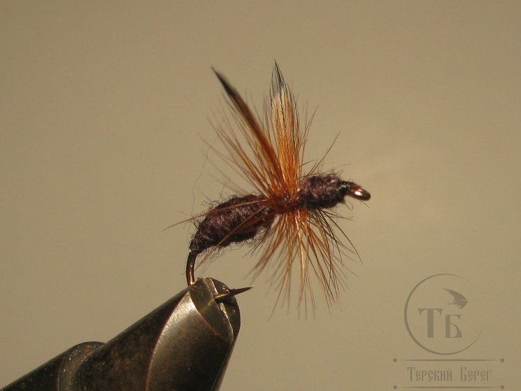 Муха муравей Ant Dif. ( 10 ) Black Brown Flies Kumho Dry № 8