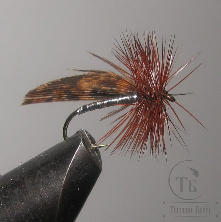 Муха сухая Dry fly ( 33 ) " Capercailli Brown Silver Caddis  " крючок № 12 