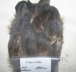 Перья глухаря со спины Capercailli back feathers (серое рябое 30-40 шт)