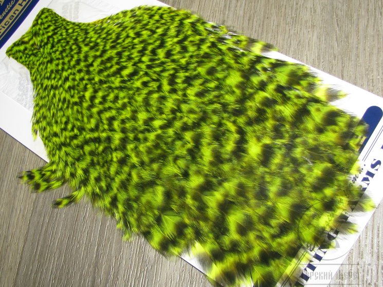 Скальп курицы American Hen Cape гризли флюр желтый шартрез  / Grizzly Fl. Yellow Chart. Whiting