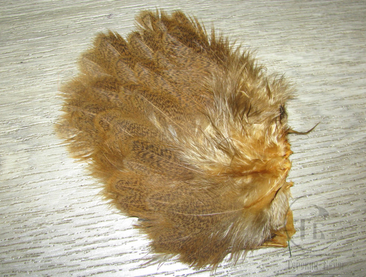 Перо курицы брахма рябое мелкое 1/4 Brahma Hen Soft Hackle Barred Golden Whiting ( имитация куропатки ) HBS