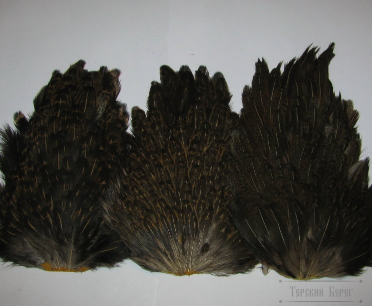 Курица седло Indian Hen Saddle Black Brown  Var. / Чёрно Коричневое Рябое