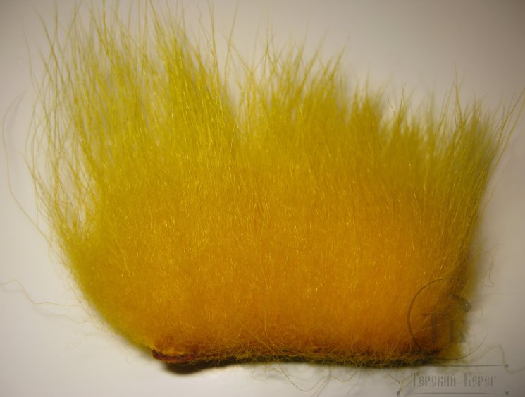imi polar bear yellow standart