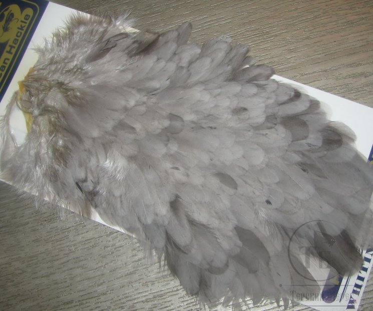 Курица седло American Hen Saddle Md. Dun  Whiting