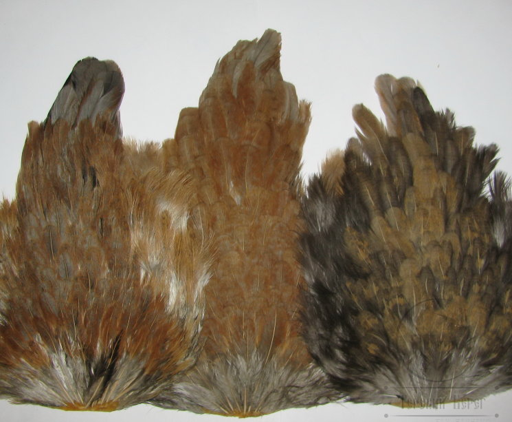 Курица седло Indian Hen Saddle Golden Var. / Золотистое Вариант