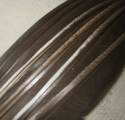Биот глухаря ( крупный натуральный 6 шт) Capercailli biot natural