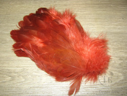 Перо курицы пивной корень 1/4 Soft Hackle Rootbeer