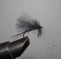 Муха CDC ( 17 ) Caddis Black № 10