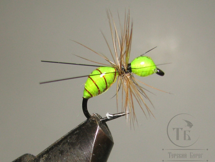 Муха муравей Ant Scud ESc ( 6 ) Fl. Chartreuse Epoxy Kumho Scud № 12