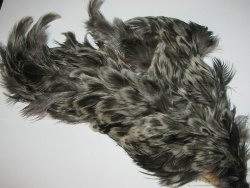 Перо курицы баджер серое 1/2  Soft Hackle Badger Gray 