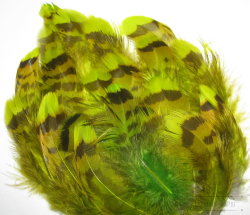 Capercailli hen feathers lemon