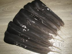 Хвостовые перья глухаря  Capercailli  Tail Feathers 3 пары Lg.