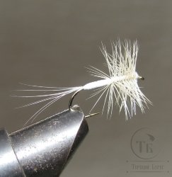 Муха сухая Dry fly ( 108 ) " Dry Fly White  " крючок № 12 ( Kumho )