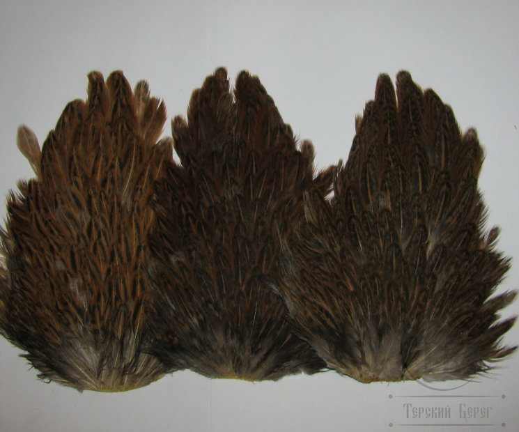 Курица седло Indian Hen Saddle Brown Badger / Коричневый Баджер