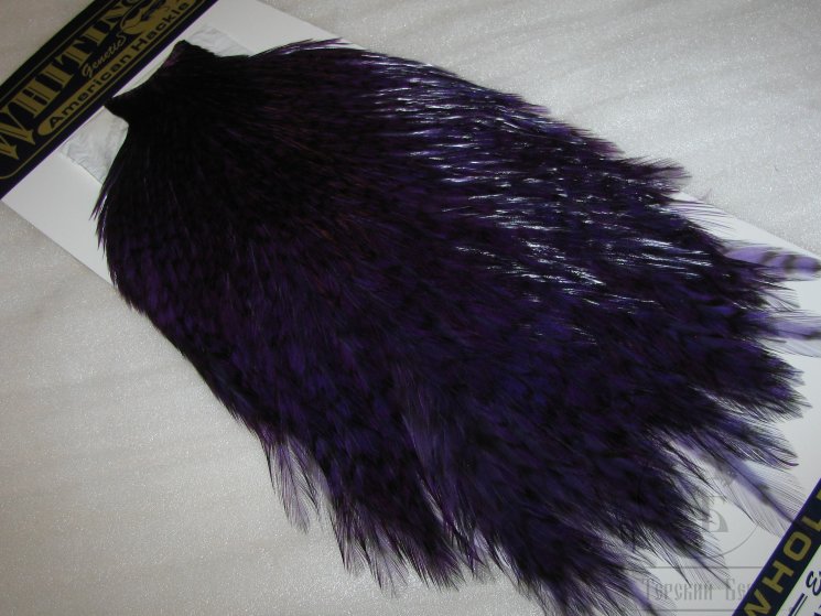 Скальп петуха Whiting American rooster cape Grizzly Purple