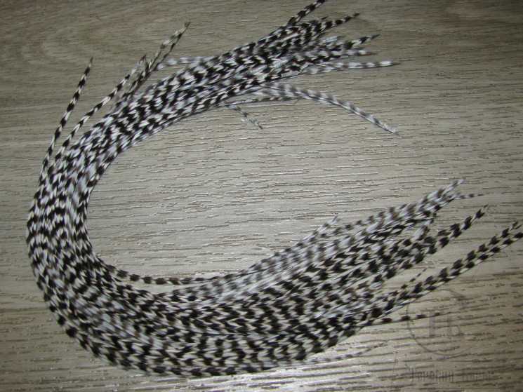Перо Dry Fly (для сухих мух) 10 шт гризли  , крючки № 10