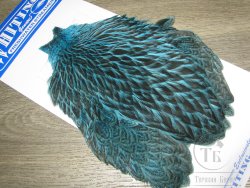 Скальп курицы Freshwater Streamer Hen Cape Badger dyed Silver Dr Blue Whiting 
