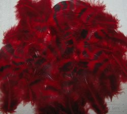 Перья глухарки Capercailli hen feathers red