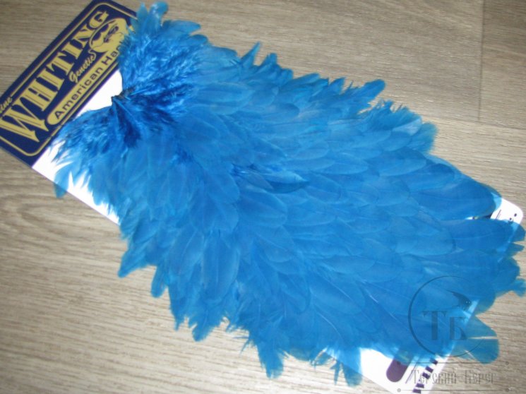 Курица седло American Hen Saddle Kingfisher Blue  Whiting