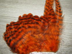Перо петуха на коже лопаточное гризли фл оранжевый Scapulars feathers Grizzly Fl. Orange