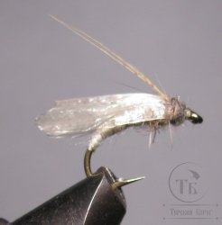 Муха мокрая Wet fly ( 29 ) Shved White крючок Scud № 10