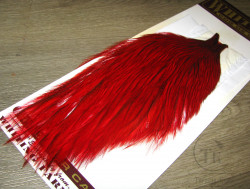 Скальп петуха Whiting Coq De Leon Cape Lt. Pardo Badger Hot Orange / Scarlet ( покраска Терский Берег)