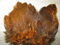 Перо петуха на коже лопаточное рябое Scapulars feathers Coq de Leon Rusty Orange