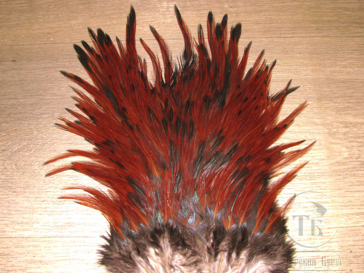 Седло петуха с широким пером Rooster Saddle Black Brown Var.