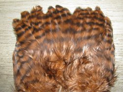 Перо петуха на коже лопаточное гризли коричневый Scapulars Feathers Grizzly Brown