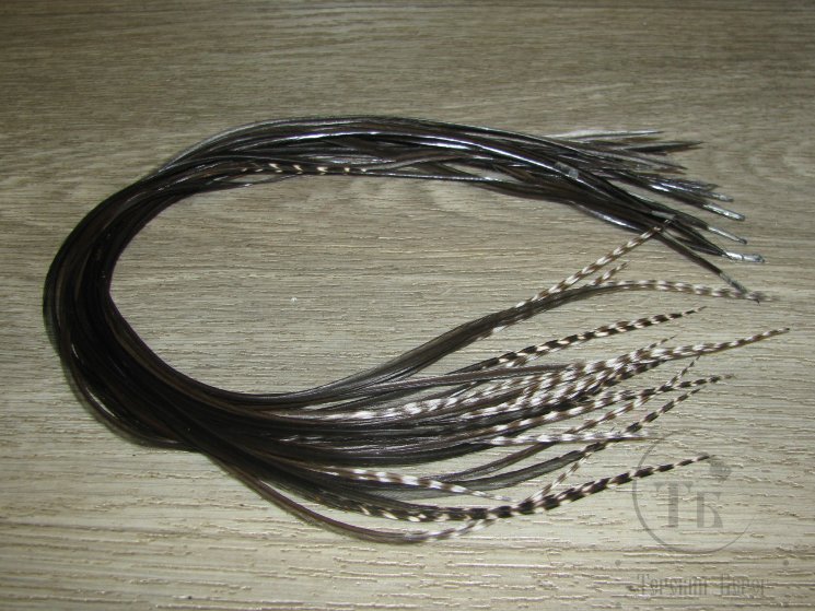 Перо из седла петуха отборное ( 1 шт ) Black Natural Grizzly Tips Variant ( 33 - 35 см )