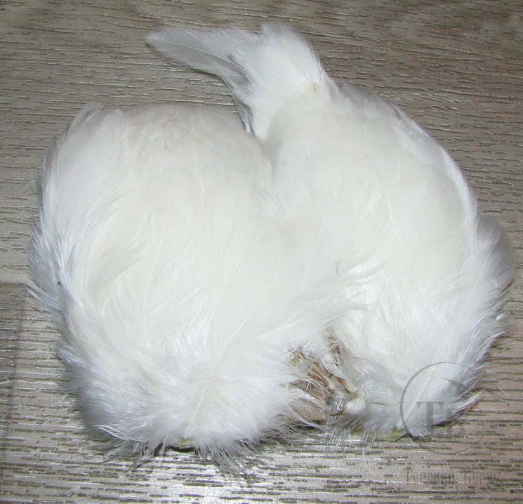 Перо петуха на коже лопаточное белое Scapulars feathers White