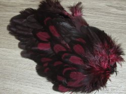 Перо курицы винно красное с чёрной окантовкой 1/2 Soft Hackle BLW Claret Whiting
