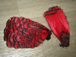 Перья шеи и головы алмазного фазана Lady Amherst Tippet / Head Feathers Red
