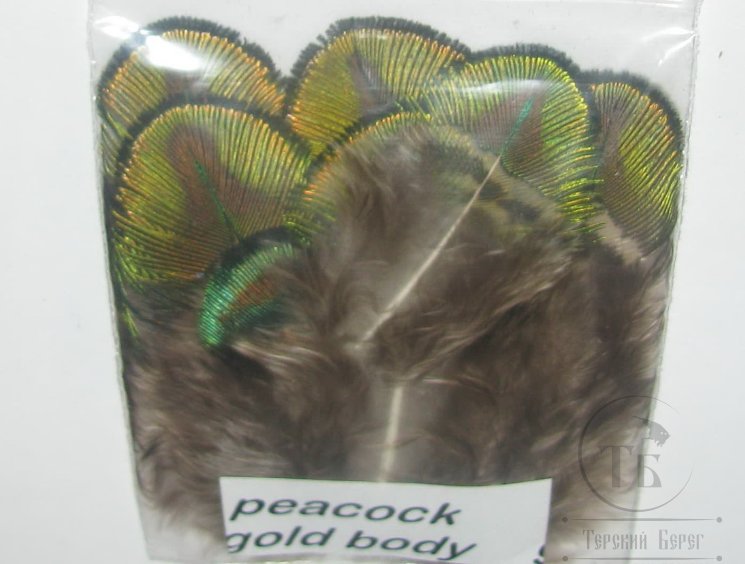 Peacock Gold Body Terskibereg