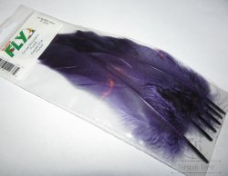 Goose Shoulders Purple Super Fly