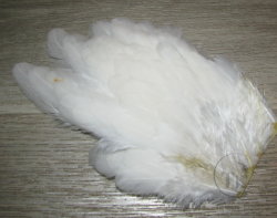 Куриное перо Hen feathers белый 1/3