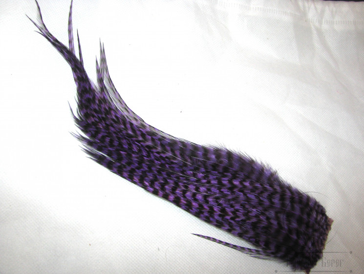 Нижняя часть сухого скальпа высокой градации Grizzly Purple ( ССК 74 )