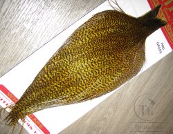 Скальп петуха Whiting Dry Fly Pro-Grade Cape Grizzly Golden Olive