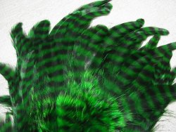 Куриное перо Hen feathers гризли зеленый