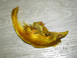 Золотой фазан хохолок Golden Pheasant Crest Only Yellow Banana